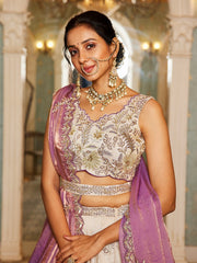 Light Pink & Beige Tissue Designer Lehenga Choli with Beads Work