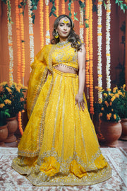 Yellow embellished lehenga  with Tassel choli set