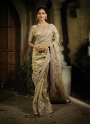 Light pista & Golden Beige Silk Saree with Embroidered Border Designer Blouse
