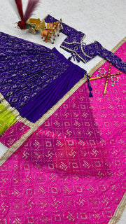 Royal Purple Embroidered Lehenga with Matching Choli