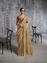 Beige light brown Saree with Embroidered Border Designer Blouse