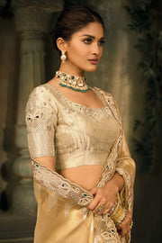 Golden Beige Silk Saree with Embroidered Border Designer Blouse