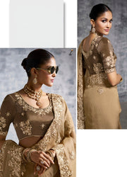 Beige light brown Saree with Embroidered Border Designer Blouse